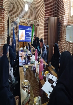 برگزاری دومین جلسه شورای مرکز رشد، فناوری های نرم و صنایع فرهنگی